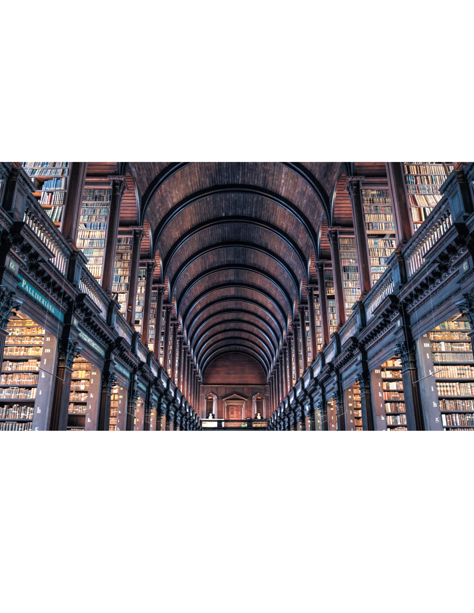 The vaulted hall of an old library lined with books